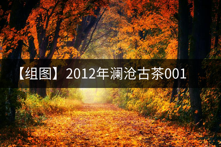 【組圖】2012年瀾滄古茶001開湯 【組圖】2012年瀾滄古茶001開湯