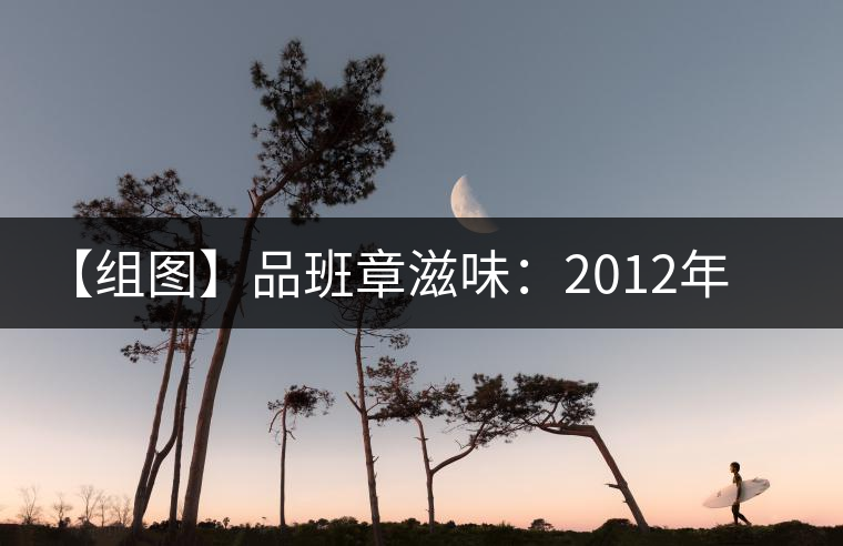 【組圖】品班章滋味：2012年陳升號銀班章開湯