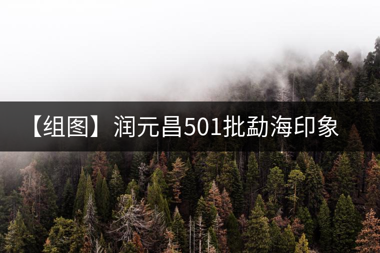 【組圖】潤(rùn)元昌501批勐海印象餅開湯 【組圖】潤(rùn)元昌501批勐海印象餅開湯