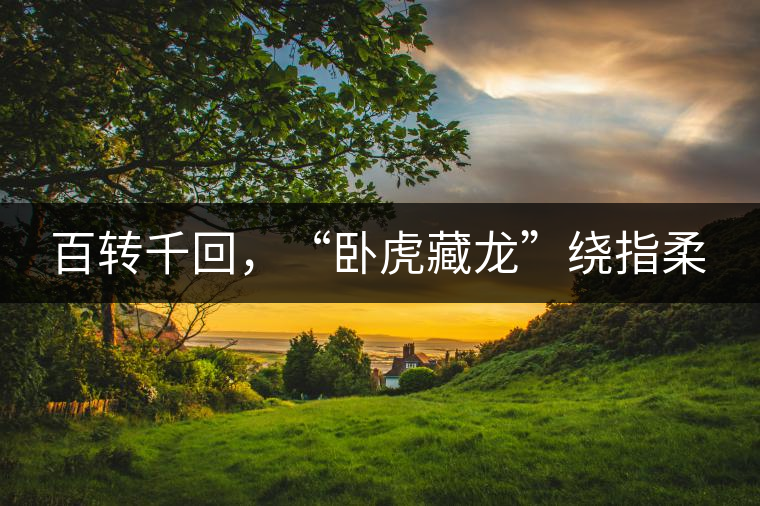 百轉(zhuǎn)千回，“臥虎藏龍”繞指柔