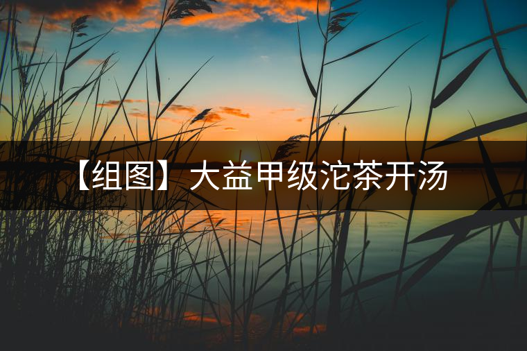 【組圖】大益甲級(jí)沱茶開(kāi)湯 【組圖】大益甲級(jí)沱茶開(kāi)湯