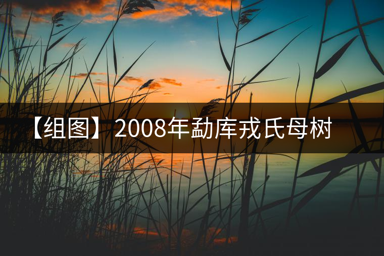【組圖】2008年勐庫戎氏母樹茶開湯 【組圖】2008年勐庫戎氏母樹茶開湯