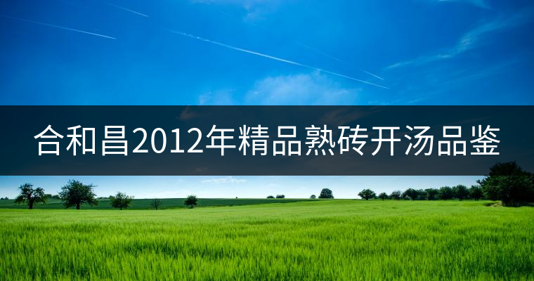 合和昌2012年精品熟磚開湯品鑒