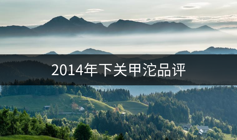 2014年下關(guān)甲沱品評 2014年下關(guān)甲沱品評