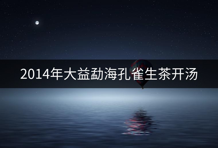 2014年大益勐?？兹干栝_(kāi)湯