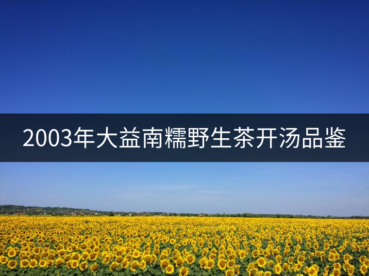 2003年大益南糯野生茶開湯品鑒