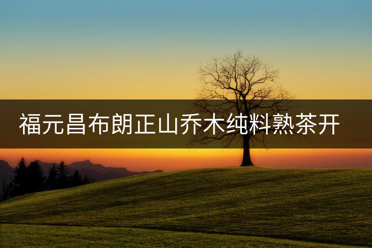 福元昌布朗正山喬木純料熟茶開湯 福元昌布朗正山喬木純料熟茶開湯