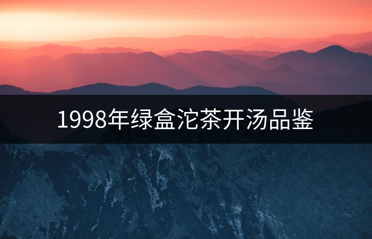 1998年綠盒沱茶開湯品鑒 1998年綠盒沱茶開湯品鑒