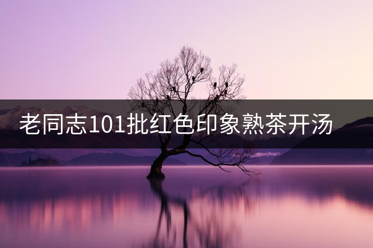 老同志101批紅色印象熟茶開湯品鑒 老同志101批紅色印象熟茶開湯品鑒