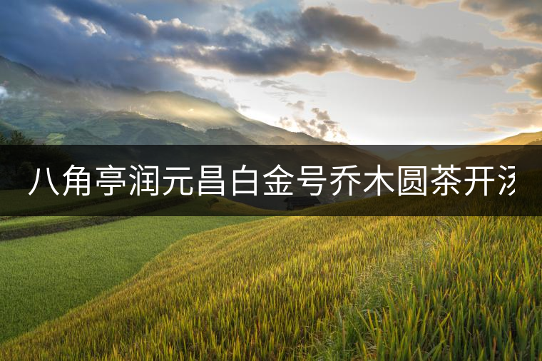 八角亭潤元昌白金號喬木圓茶開湯（圖閱）