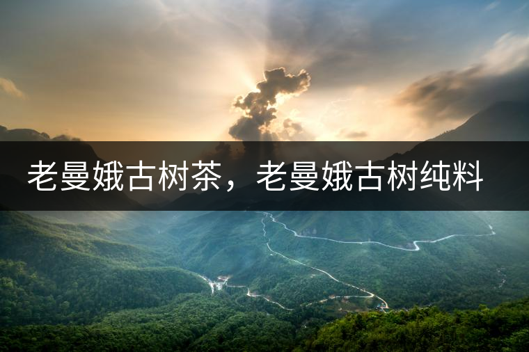 老曼娥古樹茶，老曼娥古樹純料生餅