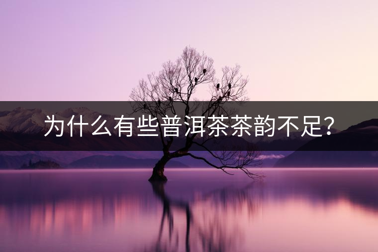 為什么有些普洱茶茶韻不足？