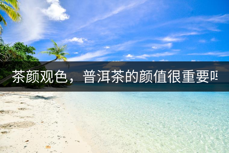 茶顏觀色，普洱茶的顏值很重要嗎？