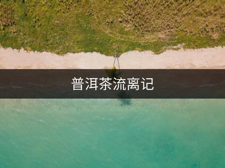普洱茶流離記
