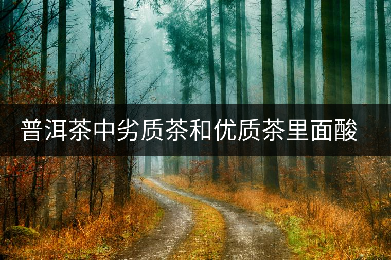 普洱茶中劣質茶和優(yōu)質茶里面酸味有什么區(qū)別 普洱茶中劣質茶和優(yōu)質茶里面酸味有什么區(qū)別