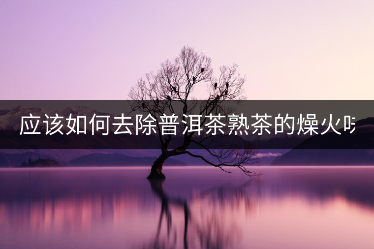 應(yīng)該如何去除普洱茶熟茶的燥火味？