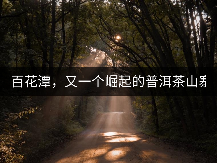 百花潭，又一個崛起的普洱茶山寨！