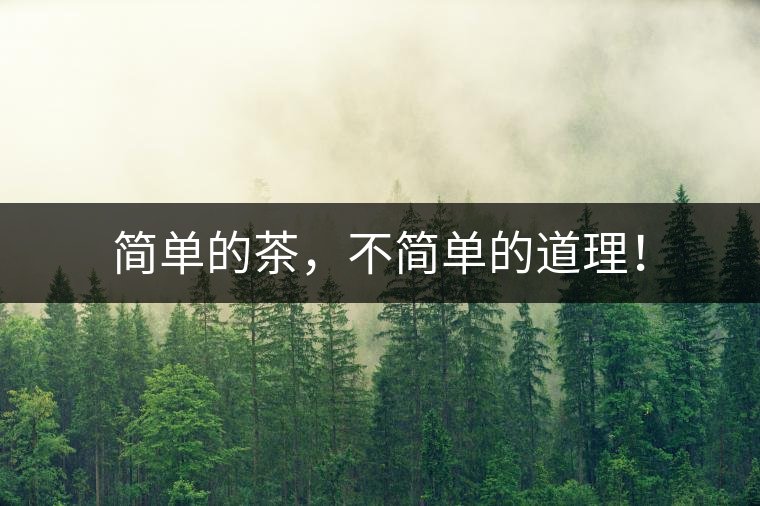 簡(jiǎn)單的茶，不簡(jiǎn)單的道理！