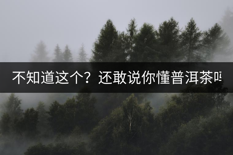 不知道這個(gè)？還敢說你懂普洱茶嗎？