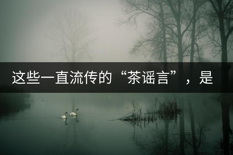 這些一直流傳的“茶謠言”，是時(shí)候知道真相了