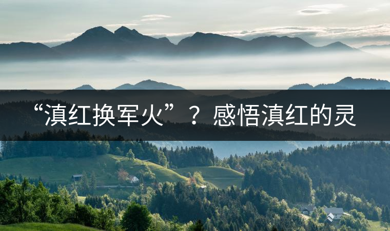 “滇紅換軍火”？感悟滇紅的靈與性！