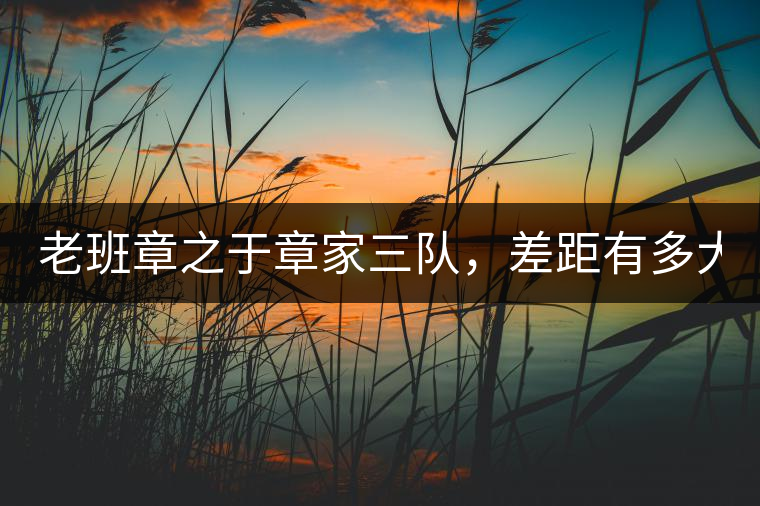 老班章之于章家三隊(duì)，差距有多大？