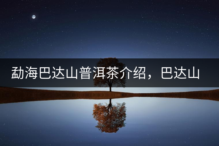 勐海巴達山普洱茶介紹，巴達山古樹茶口感特點