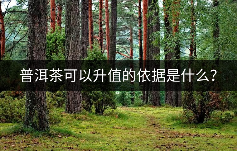 普洱茶可以升值的依據(jù)是什么？