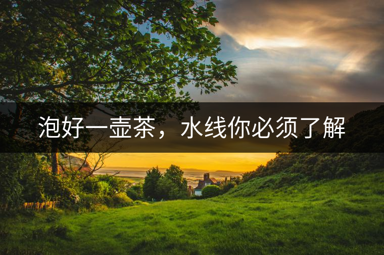 泡好一壺茶，水線你必須了解
