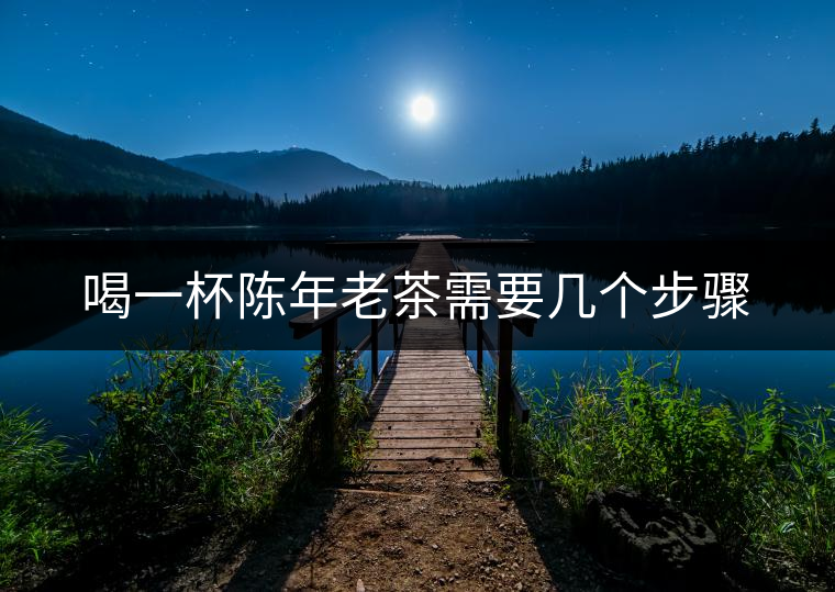 喝一杯陳年老茶需要幾個步驟 喝一杯陳年老茶需要幾個步驟