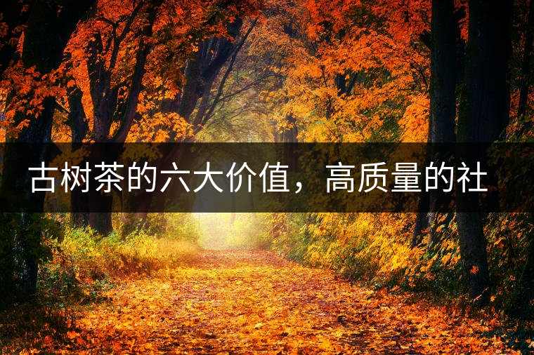 古樹茶的六大價值，高質量的社交都離不開古樹茶