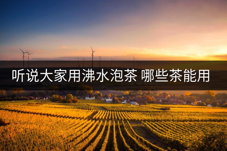 聽說(shuō)大家用沸水泡茶 哪些茶能用沸水泡 聽說(shuō)大家用沸水泡茶 哪些茶能用沸水泡