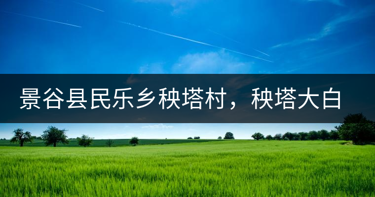 景谷縣民樂鄉(xiāng)秧塔村，秧塔大白茶口感特點(diǎn)