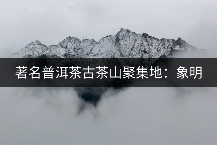 著名普洱茶古茶山聚集地：象明