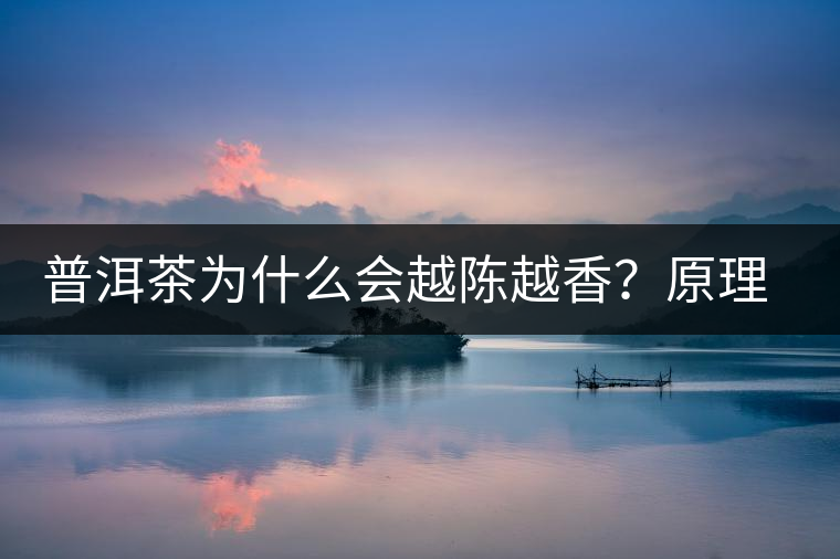 普洱茶為什么會(huì)越陳越香？原理是什么？