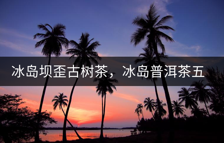冰島壩歪古樹茶，冰島普洱茶五寨之一