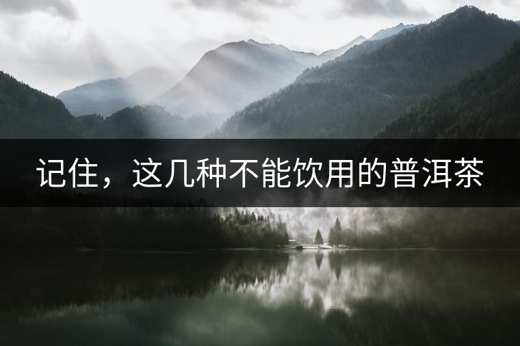 記住，這幾種不能飲用的普洱茶