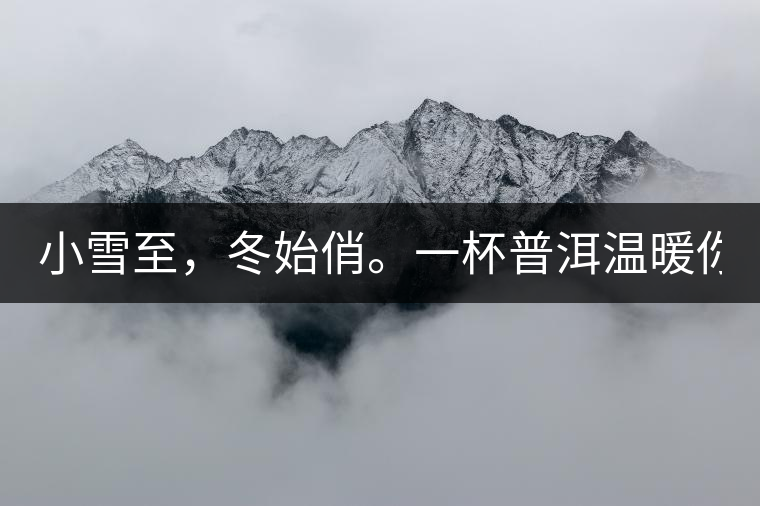 小雪至，冬始俏。一杯普洱溫暖你的冬天！