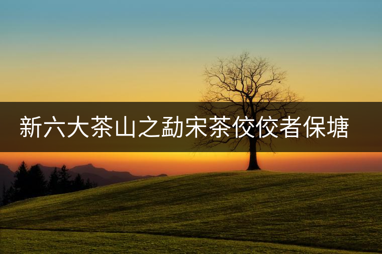 新六大茶山之勐宋茶佼佼者保塘古樹茶