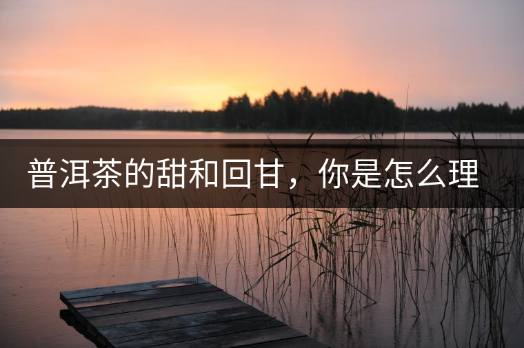 普洱茶的甜和回甘，你是怎么理解的？