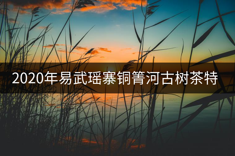 2020年易武瑤寨銅箐河古樹(shù)茶特點(diǎn)