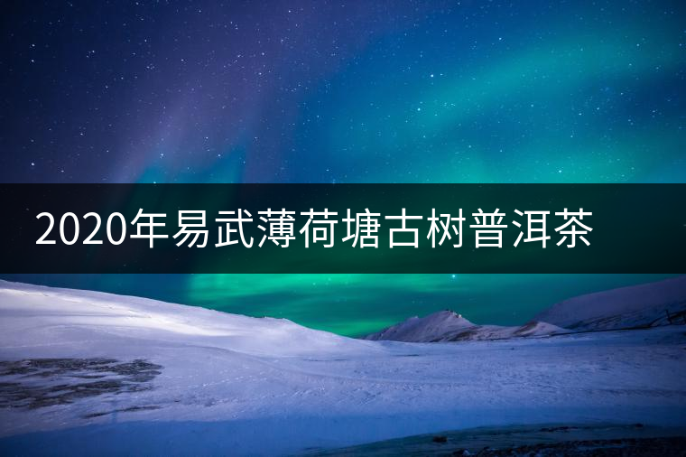 2020年易武薄荷塘古樹(shù)普洱茶特點(diǎn)，價(jià)格又上漲了嗎？