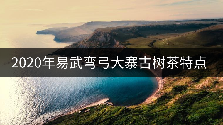 2020年易武彎弓大寨古樹茶特點和價格 2020年易武彎弓大寨古樹茶特點和價格