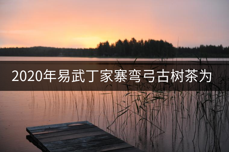 2020年易武丁家寨彎弓古樹茶為什么這么受追捧！