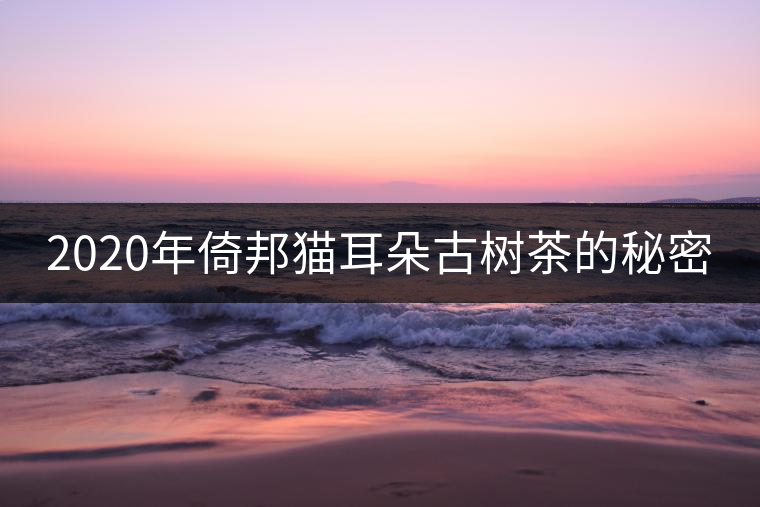 2020年倚邦貓耳朵古樹(shù)茶的秘密