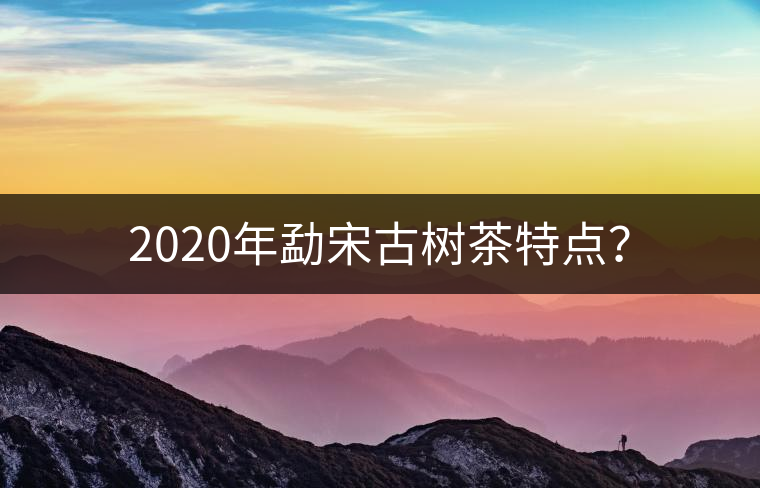 2020年勐宋古樹(shù)茶特點(diǎn)？