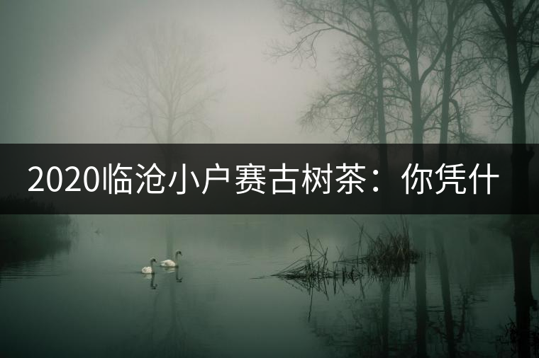 2020臨滄小戶賽古樹茶：你憑什么當(dāng)冰島賣？