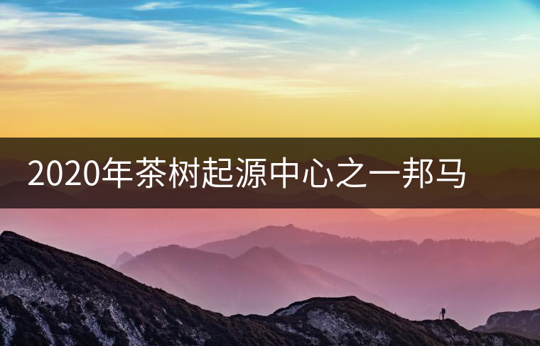 2020年茶樹起源中心之一邦馬大雪山上有哪些神秘的村寨？