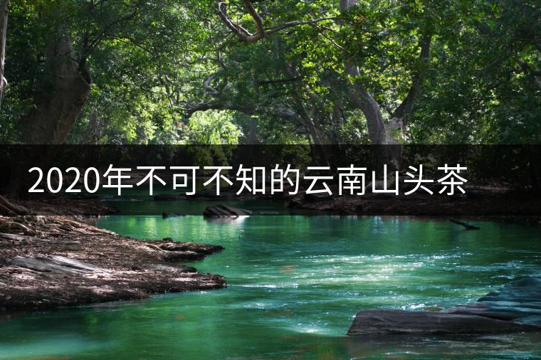 2020年不可不知的云南山頭茶無量山脈里的茶山 2020年不可不知的云南山頭茶無量山脈里的茶山