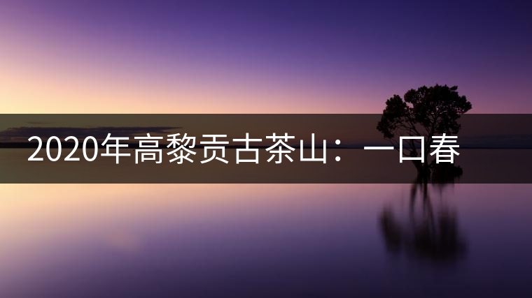 2020年高黎貢古茶山：一口春茶香，一口騰沖味